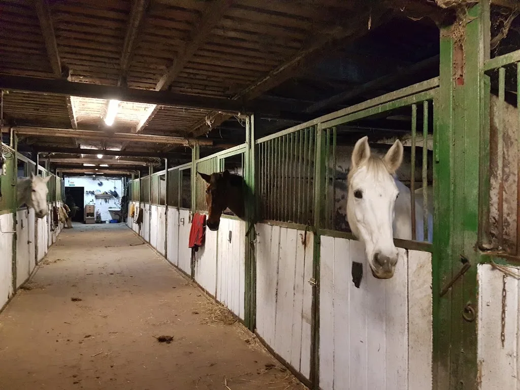Reitanlage Klostermann - Foto 2
