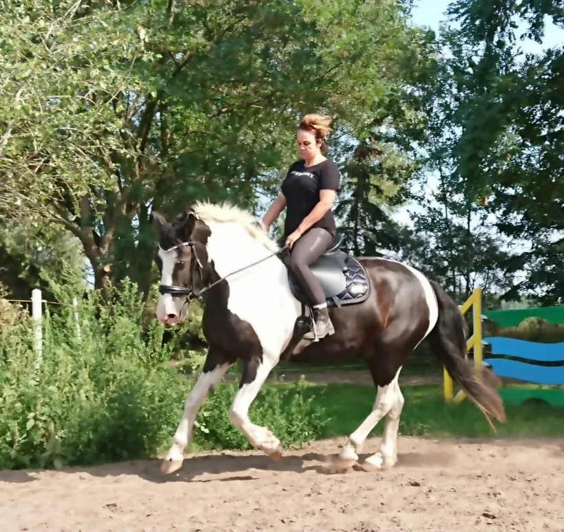 Gatz Ranch - Freizeit- und Westernstall im Teufelsbruch - photo 2