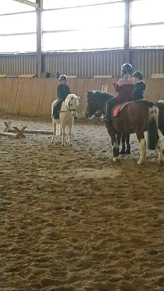 Reitsportanlage am Selter - Foto 1