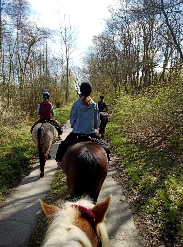 Lillegard/ natürlich Reiten - Naturlernraum und Pferdeschule - photo 2