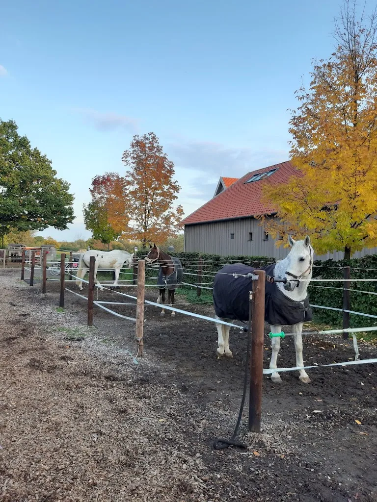 Hof Schulze Brüning - Foto 3