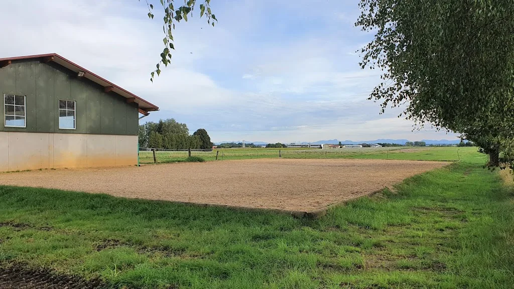 Kind und Pferd - Rita Bentz - Foto 2