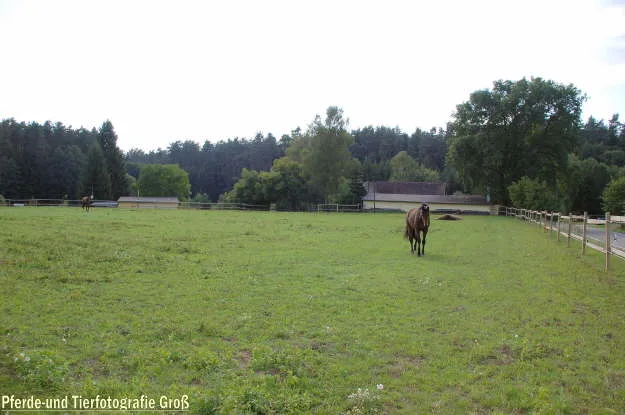 Münchsmühle - photo 1