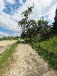 Goldeisenhof - photo 1