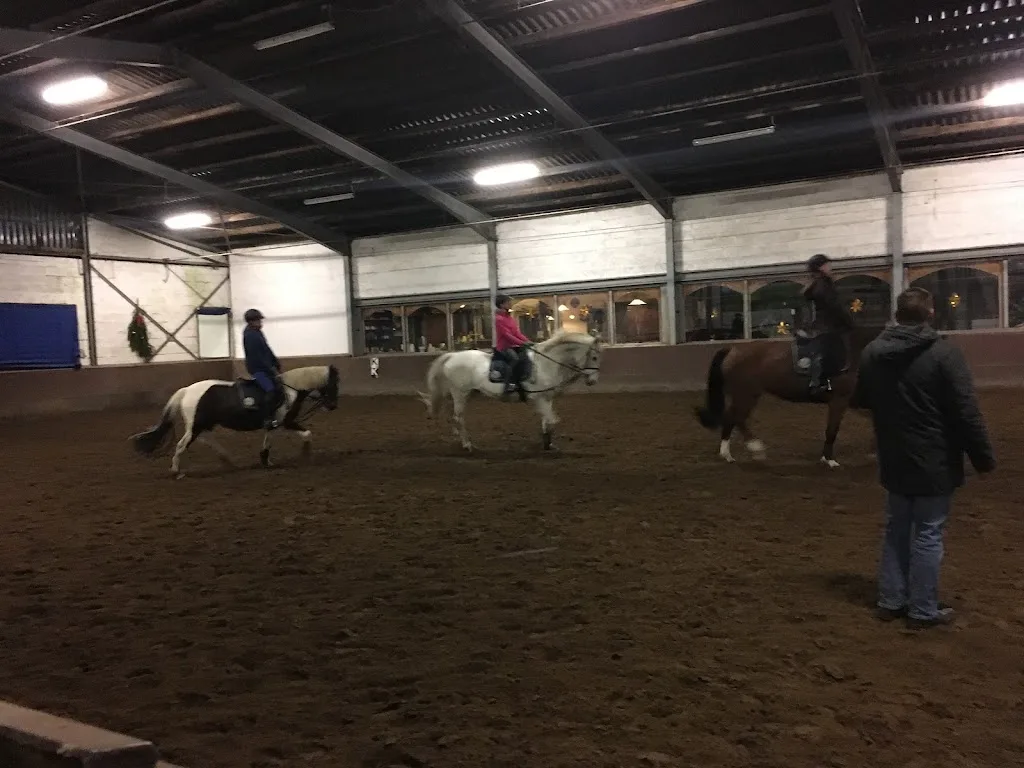 Reitstall Christinenhof, Fam.Rypholz - photo 1