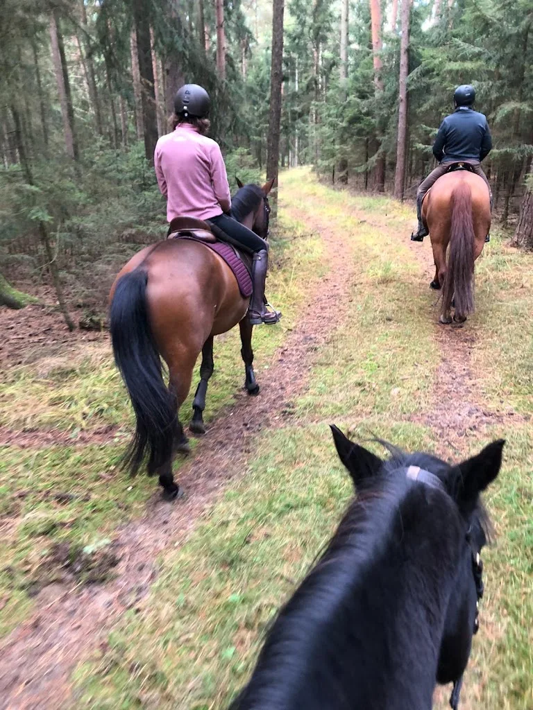 Reitstall Christinenhof, Fam.Rypholz - photo 3