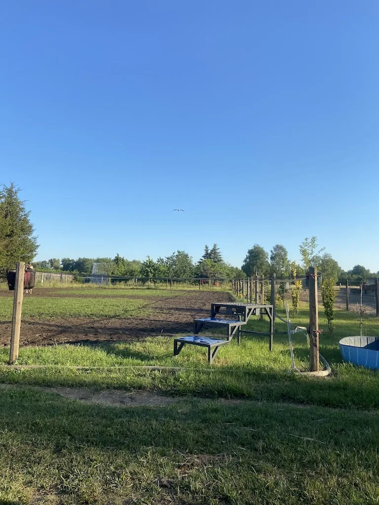 Reitanlage - Foto 2