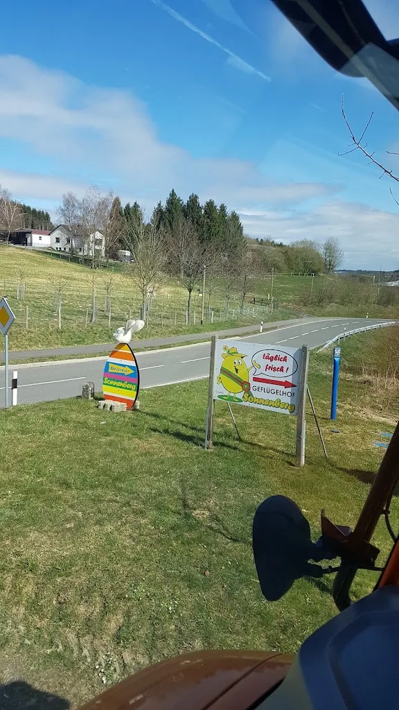 Gut Hahnenseifen - Foto 3