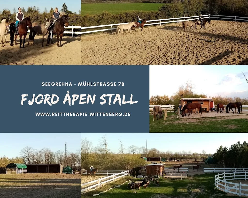 Fjord Åpen Stall - Reittherapie Wittenberg - Foto 1