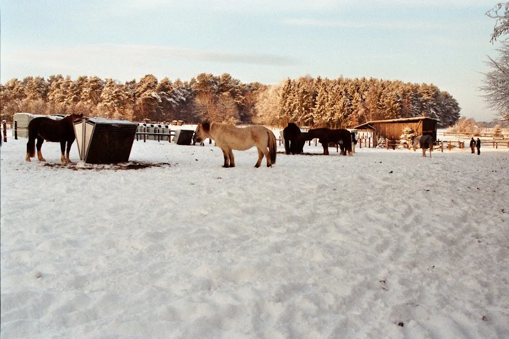 Hof Mamouna - photo 2