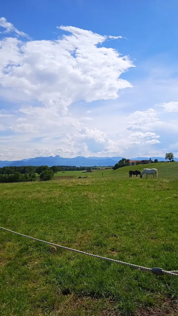 Reitanlage Ganslmaier - Foto 2