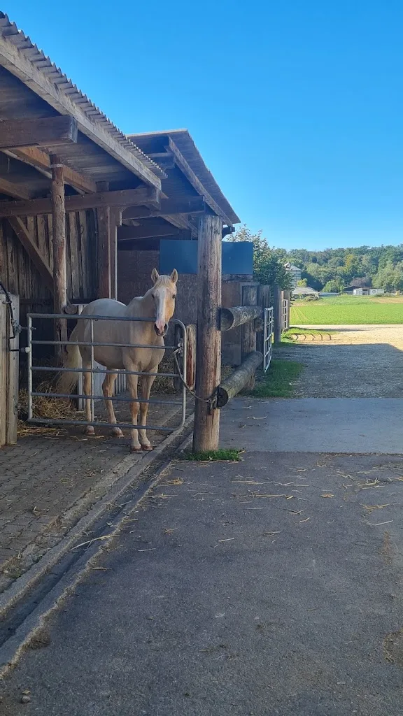 Reitstall Bauhof - photo 1
