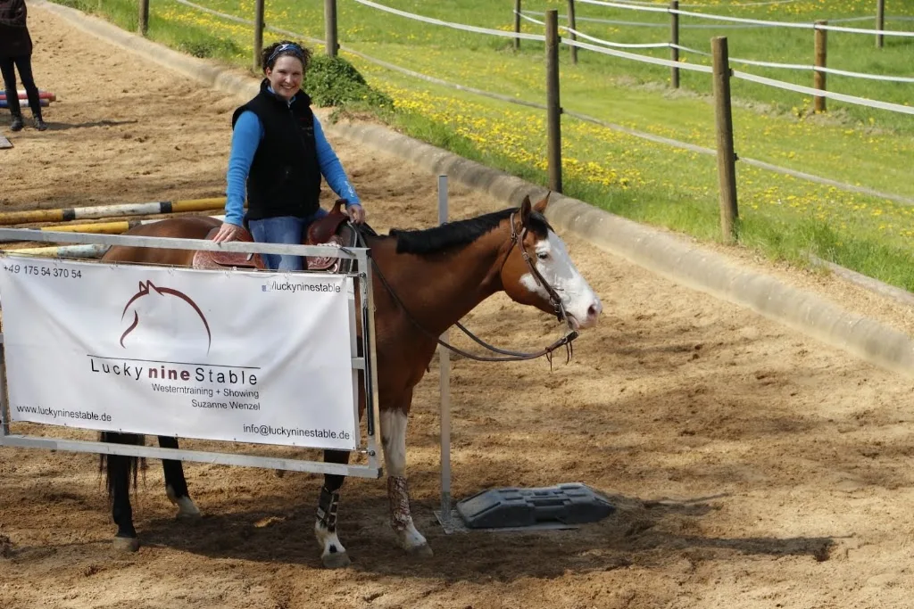 LuckyNineStable - photo 2