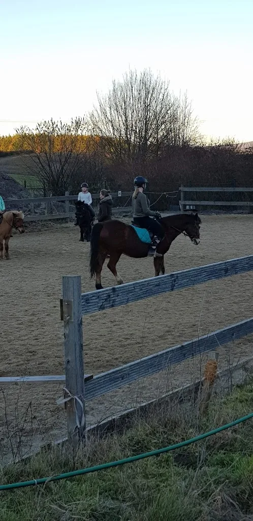 Reitanlage Gut Lübbersen - photo 3