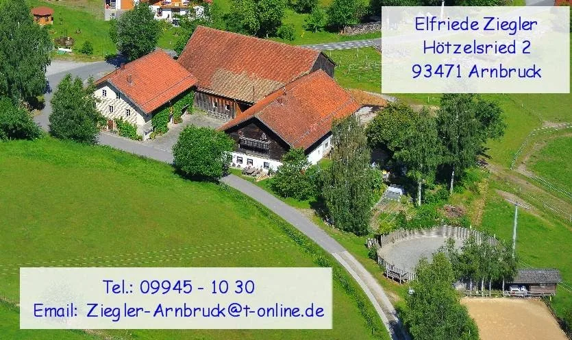 Pferdepension Ziegler Arnbruck - Foto 1