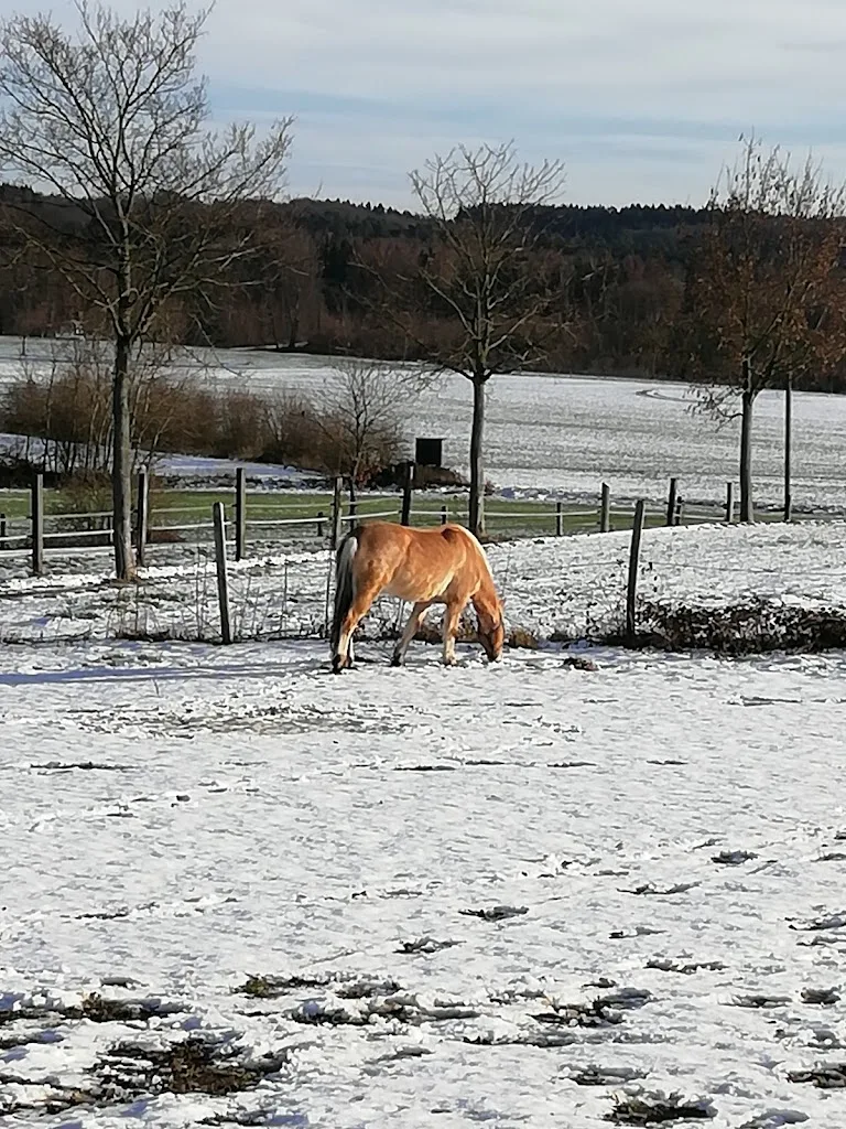 Hof Schulte - photo 3