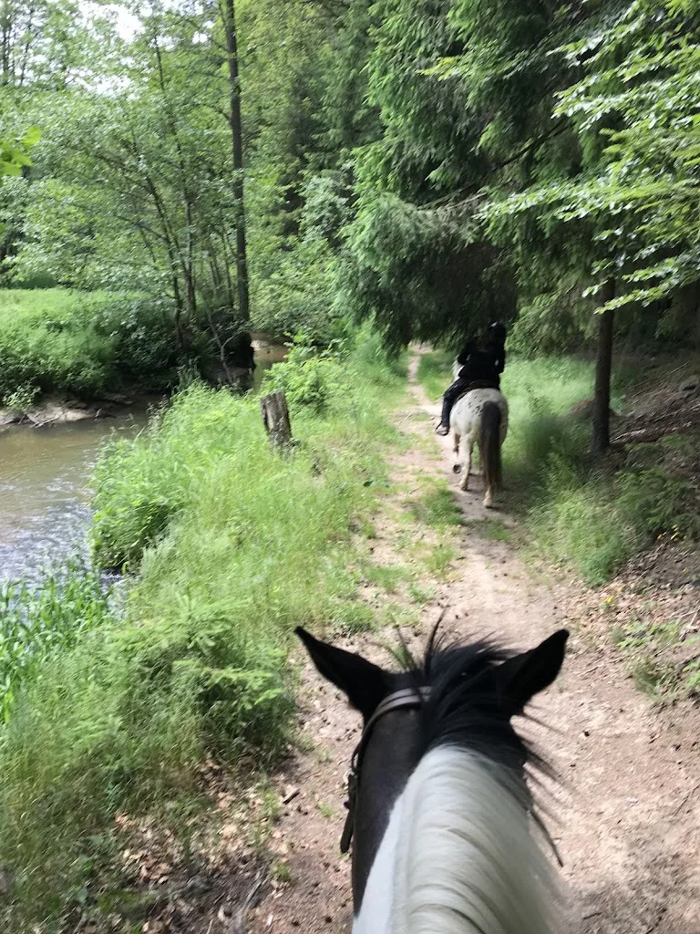 Crazy-Riders-Ranch - Foto 2