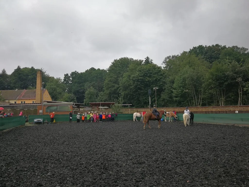 Röderhorse Ranch - photo 3