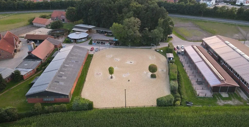 Sportpferde Beckmann GmbH & Co. KG - Foto 3