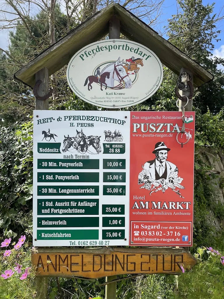 Reit- und Pferdezuchthof Peuß - Foto 2