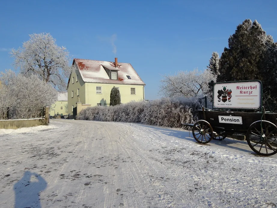 Reit- und Fahrverein Zeithain e.V. - photo 2