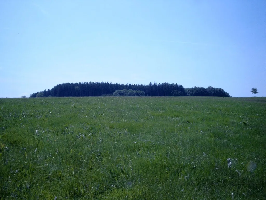 Dörrs Nikolaushof - photo 1
