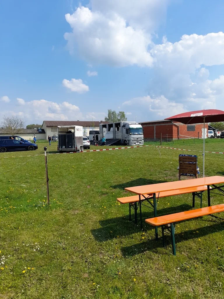 Pferdehof Lisa Wirsing - Foto 3