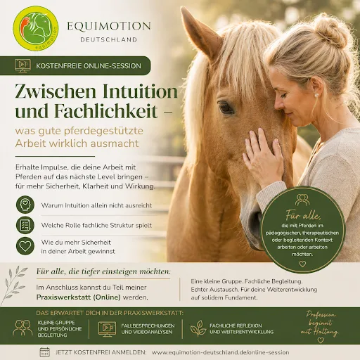 Reittherapie Glückspferde - photo 1
