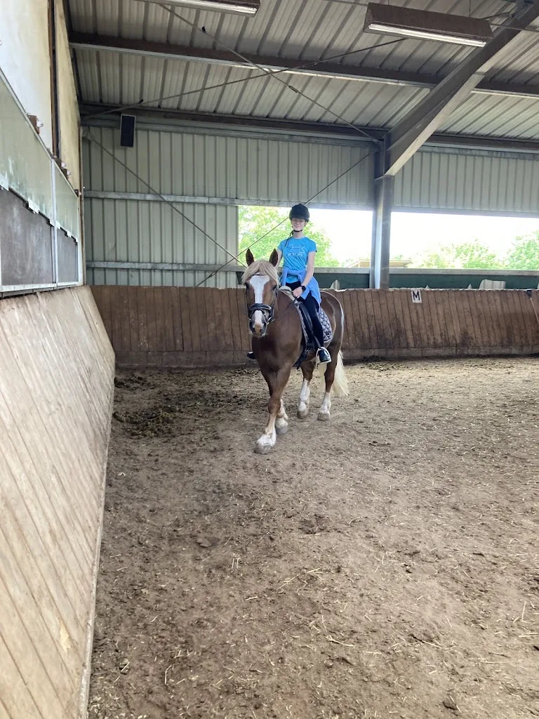 KJ Ranch - photo 1