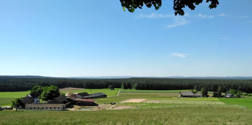 KJ Ranch - photo 3