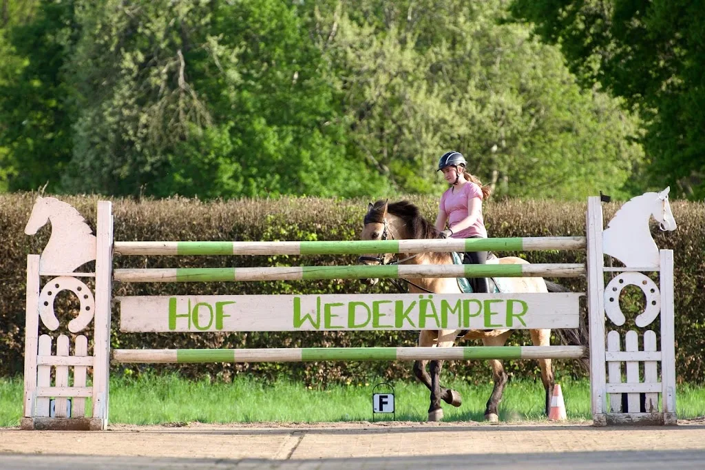 Reitsportanlage Melanie Menzefricke - photo 3