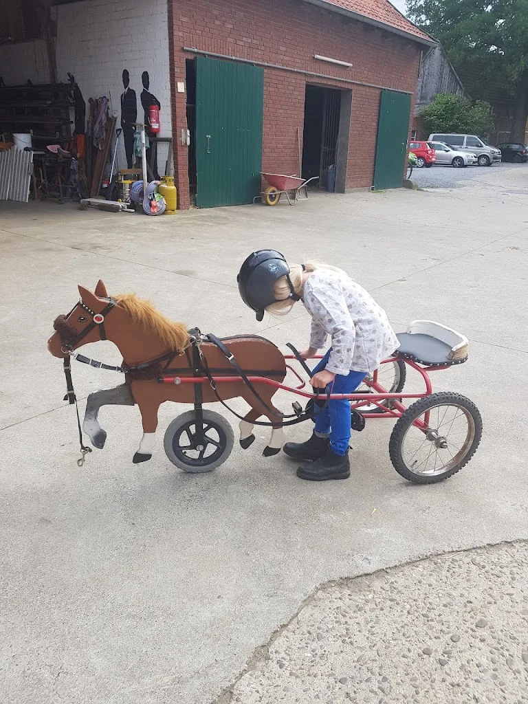 Reitanlage Bußmann - photo 1
