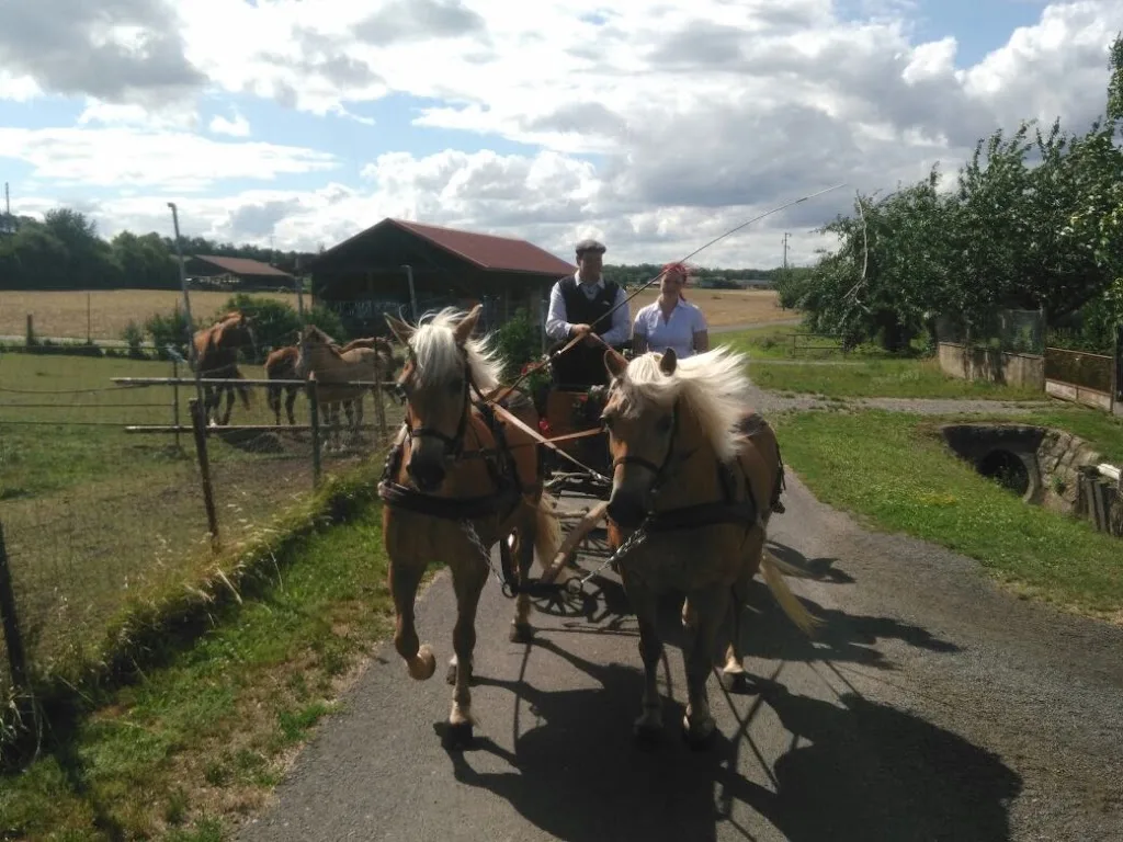 Pferdepension Tannen Ranch - Foto 3