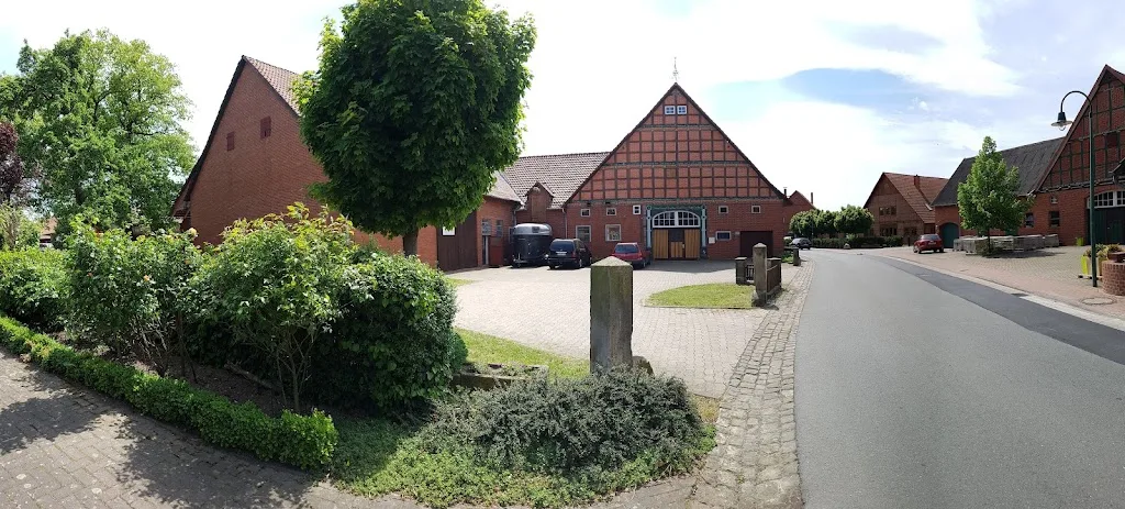 Paddocktrail zu den Meerbruchwiesen - photo 2