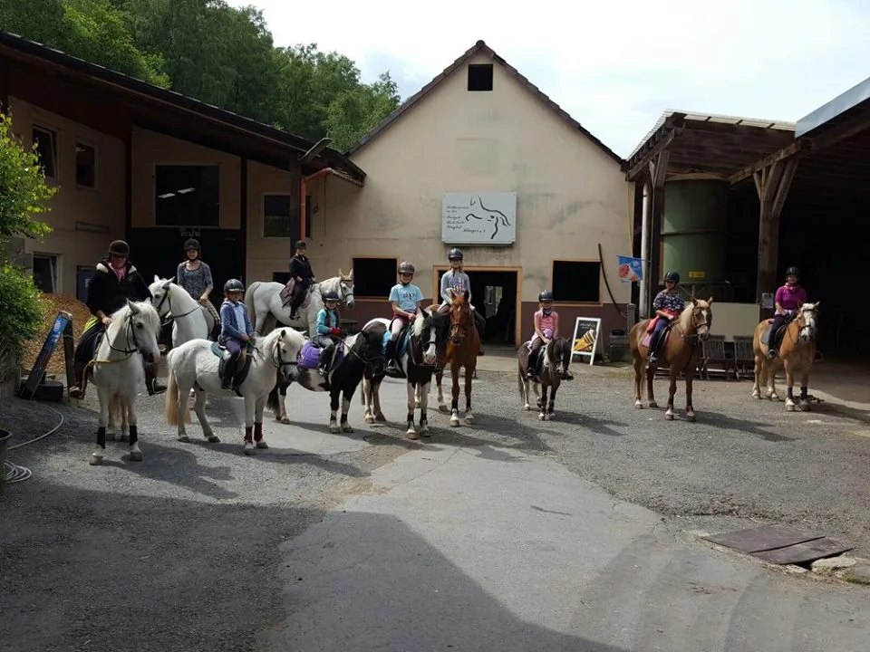 Freizeit-Reitschule Ponyhof Klinger e.V. - photo 3