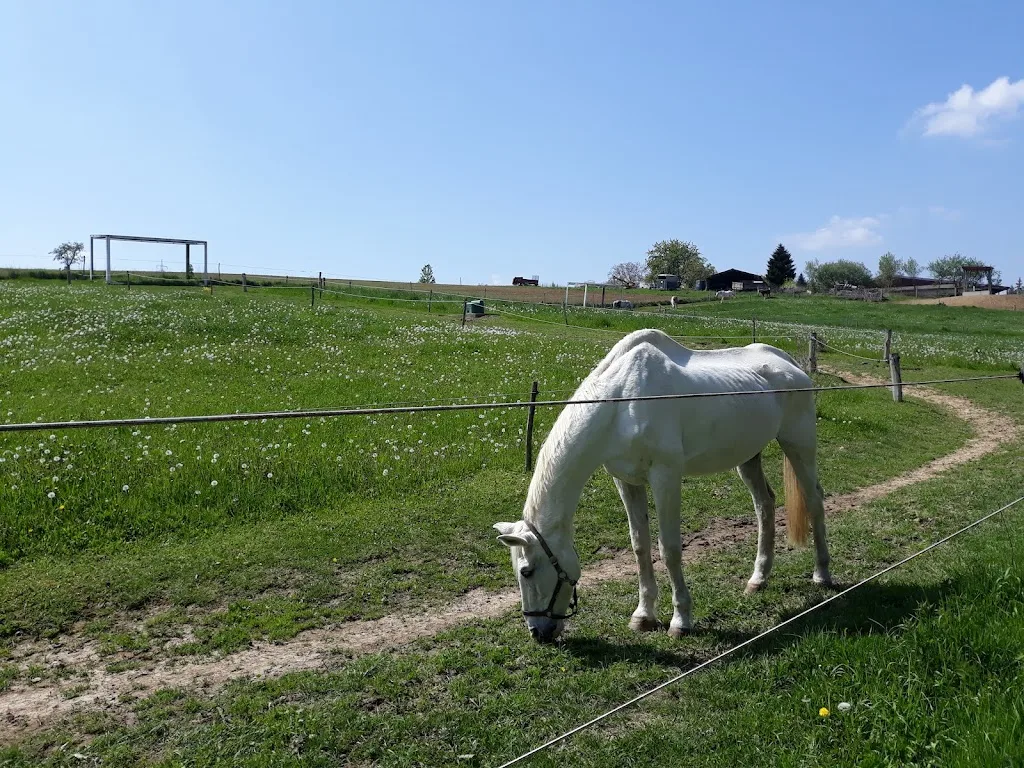 Reitstall Willig - photo 2