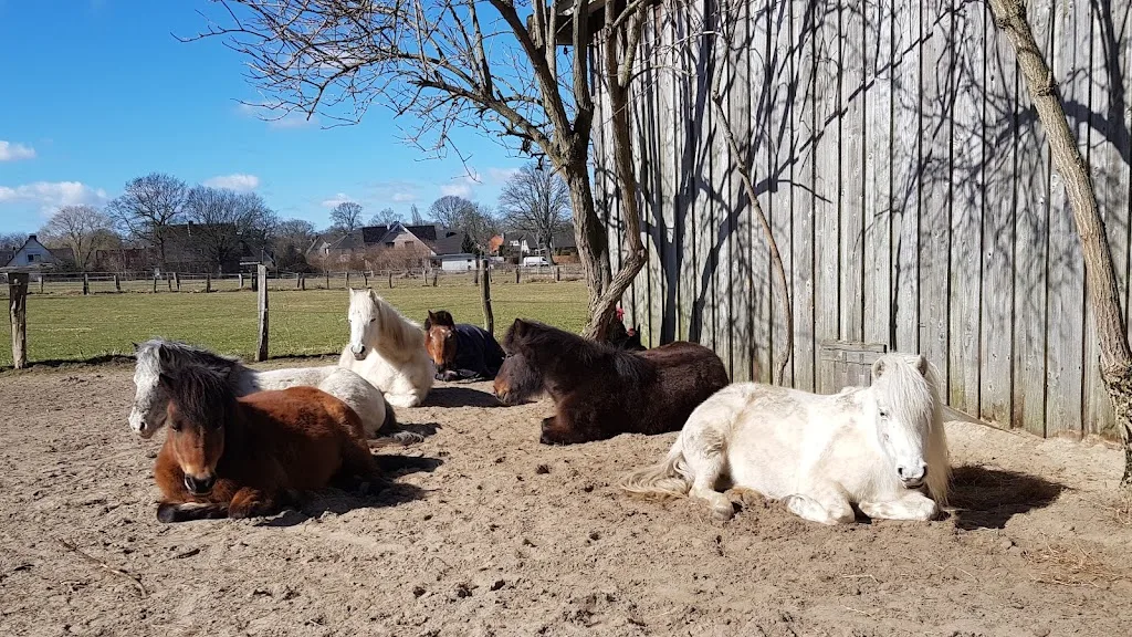 Reitanlage Oberalster - photo 3