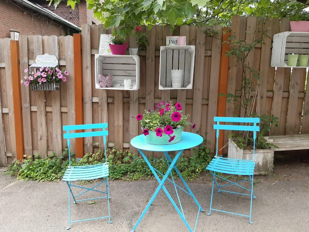 Bibis kleine Reitschule - photo 1