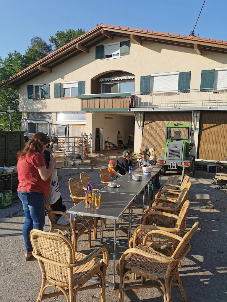 Auf dem Pferdehof Heinzelberg - Foto 1