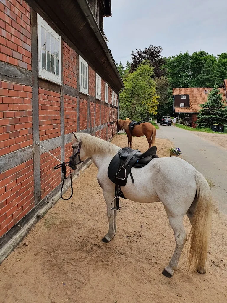Isländerhof Rutenmühle - Foto 2