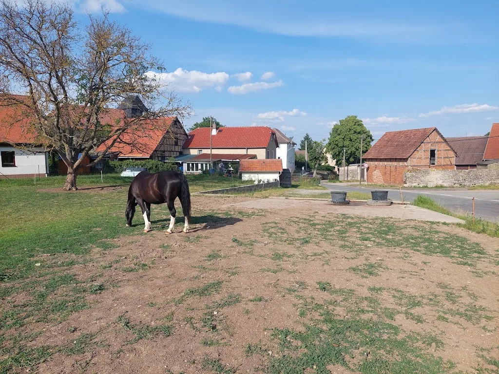 Pferdepension Agrarbetrieb Graneß - photo 2