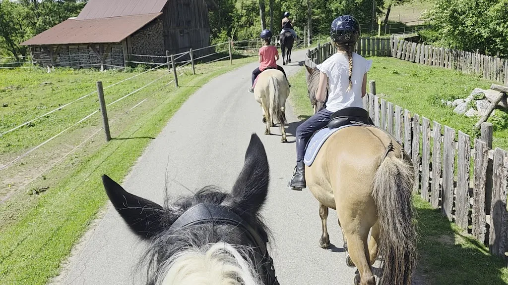 Steffi's Ponyhof / Pferdehandlung - Foto 1