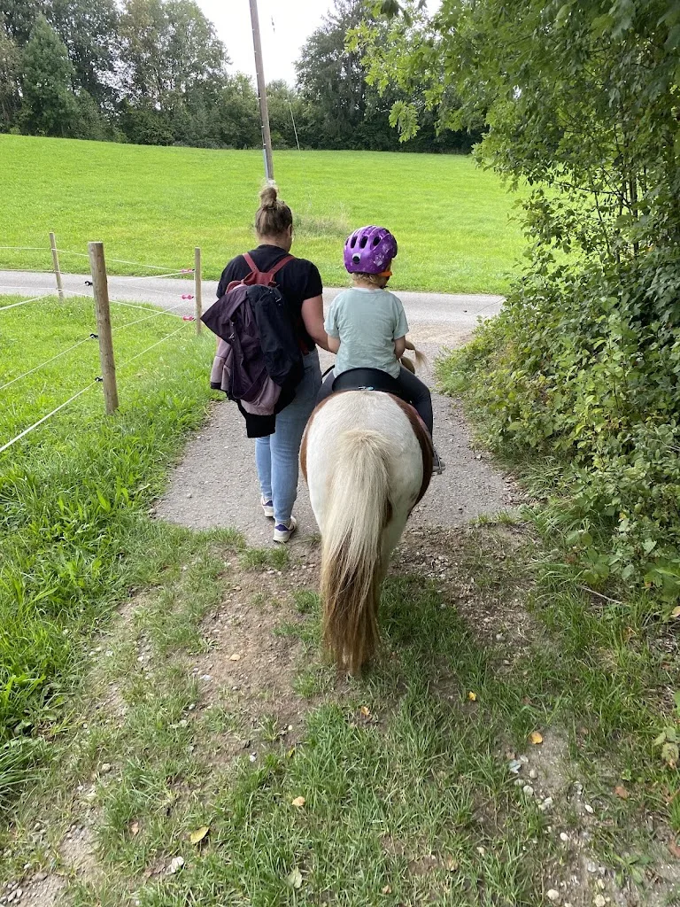 Steffi's Ponyhof / Pferdehandlung - Foto 2