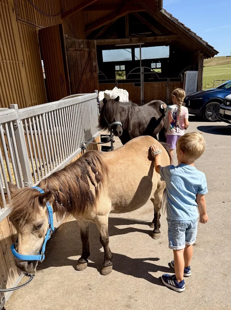 Steffi's Ponyhof / Pferdehandlung - Foto 3