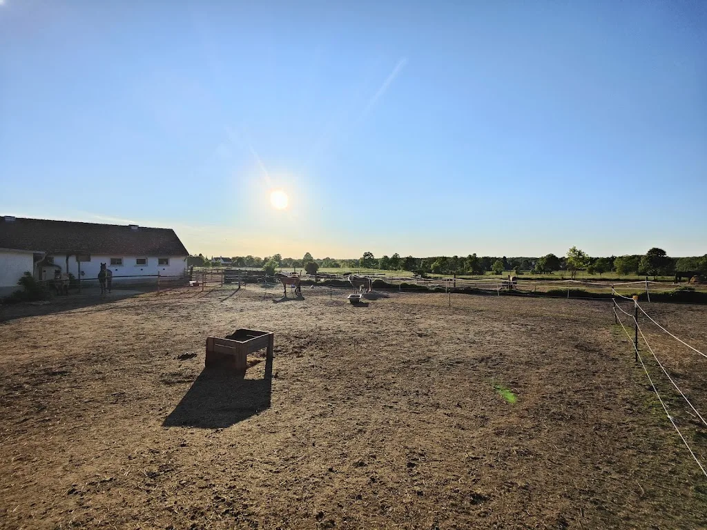 Pferdehof Siebke - Foto 2