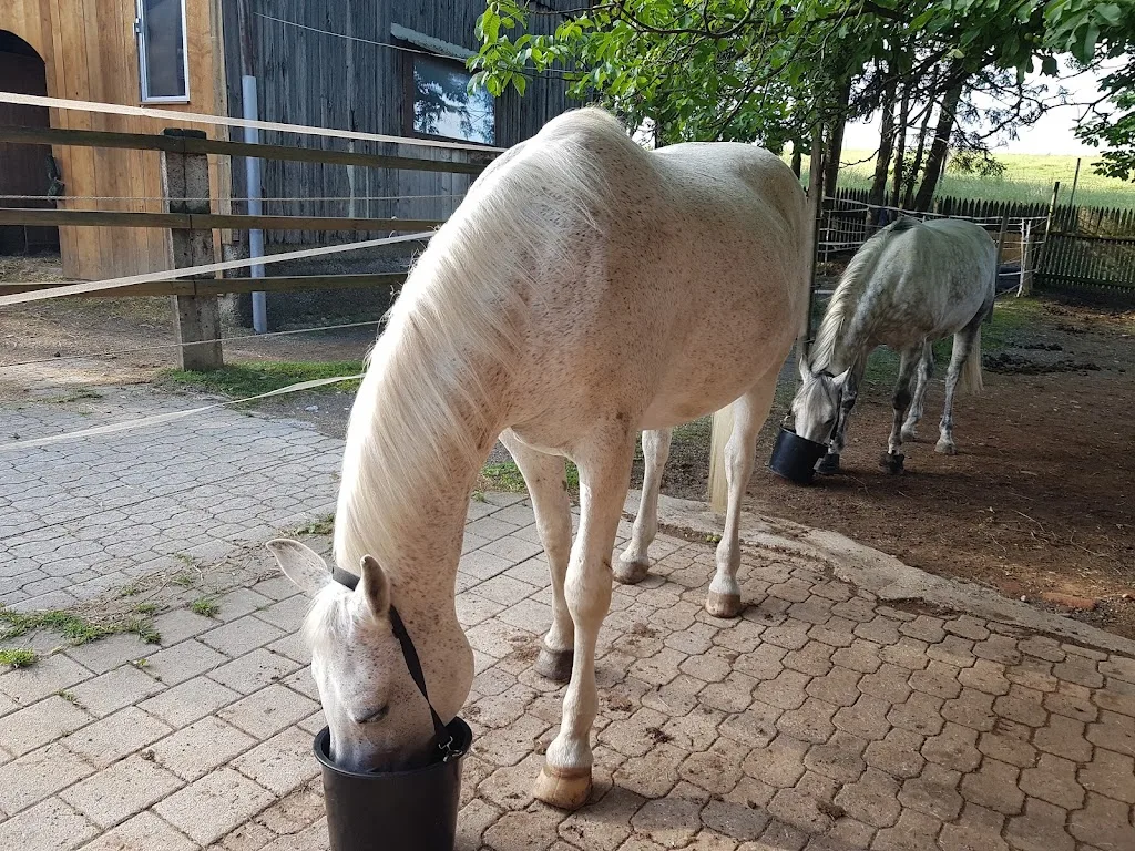 Reitstall Krein - Foto 1