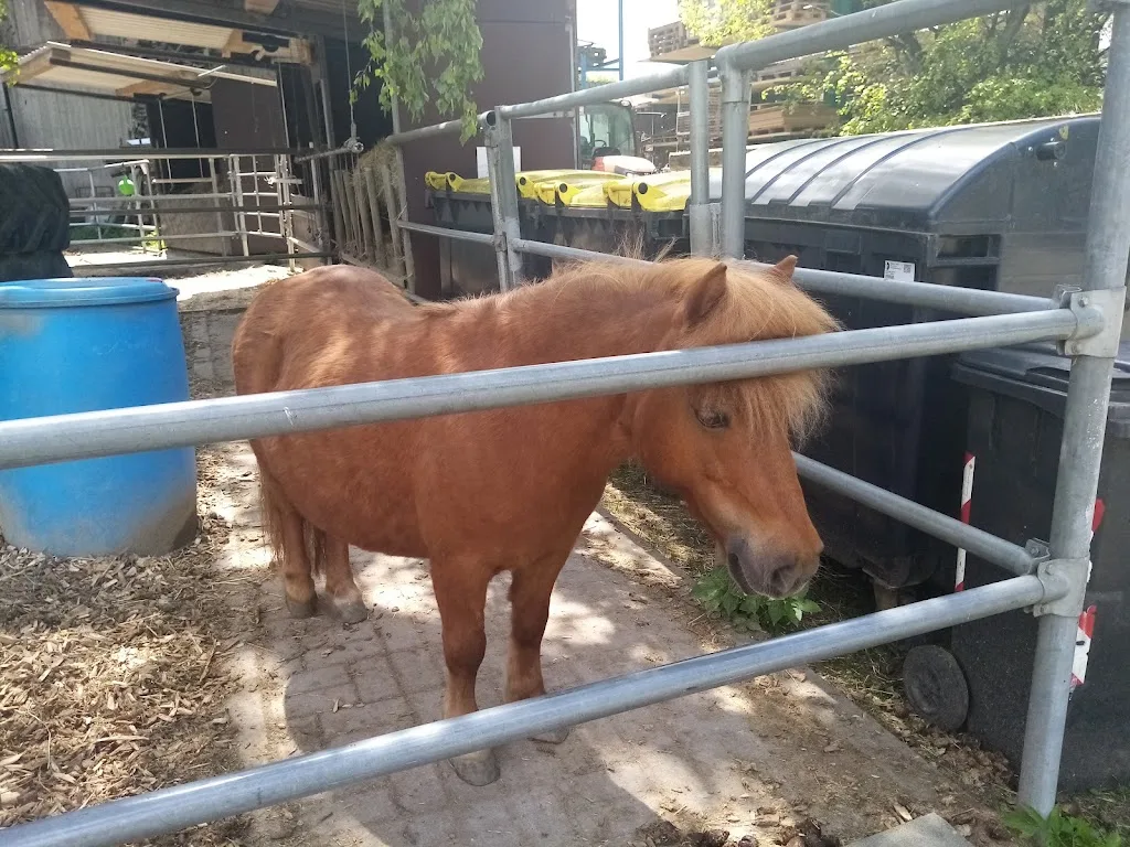 Reitstall Krein - Foto 2