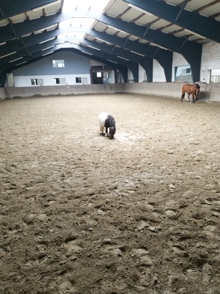 Dressurstall Markus von Holdt - Foto 1