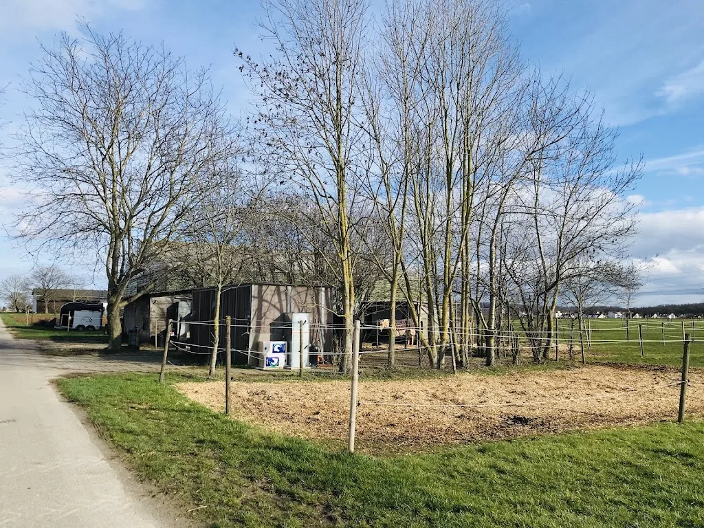 Pferdekoppel Jungmann - photo 1