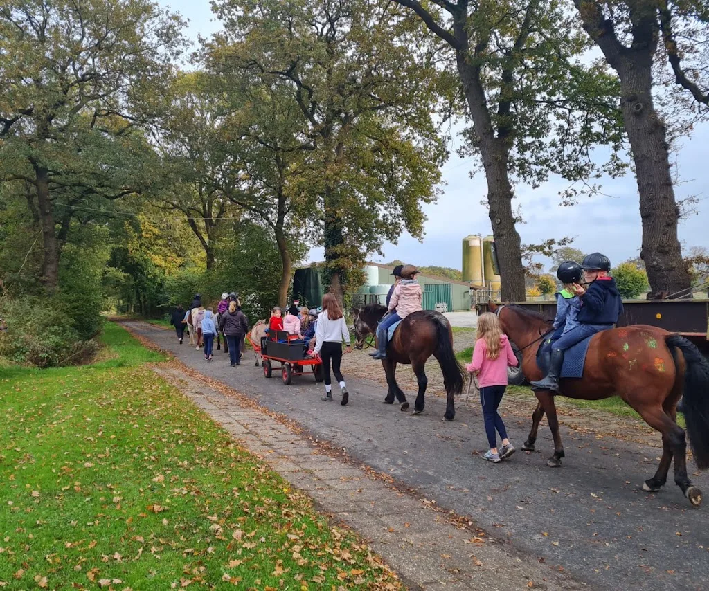 RPF Reitsport und Pferdereha Friedeburg UG - Foto 1